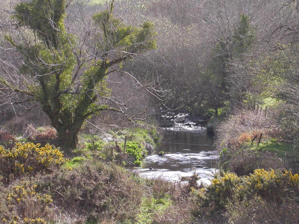 Ravens Oak, West Cork Apartment Bantry Luaran gambar